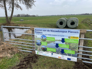Veenweide-drainage-bij-de-Nieuwkoopse-Plassen-Polders